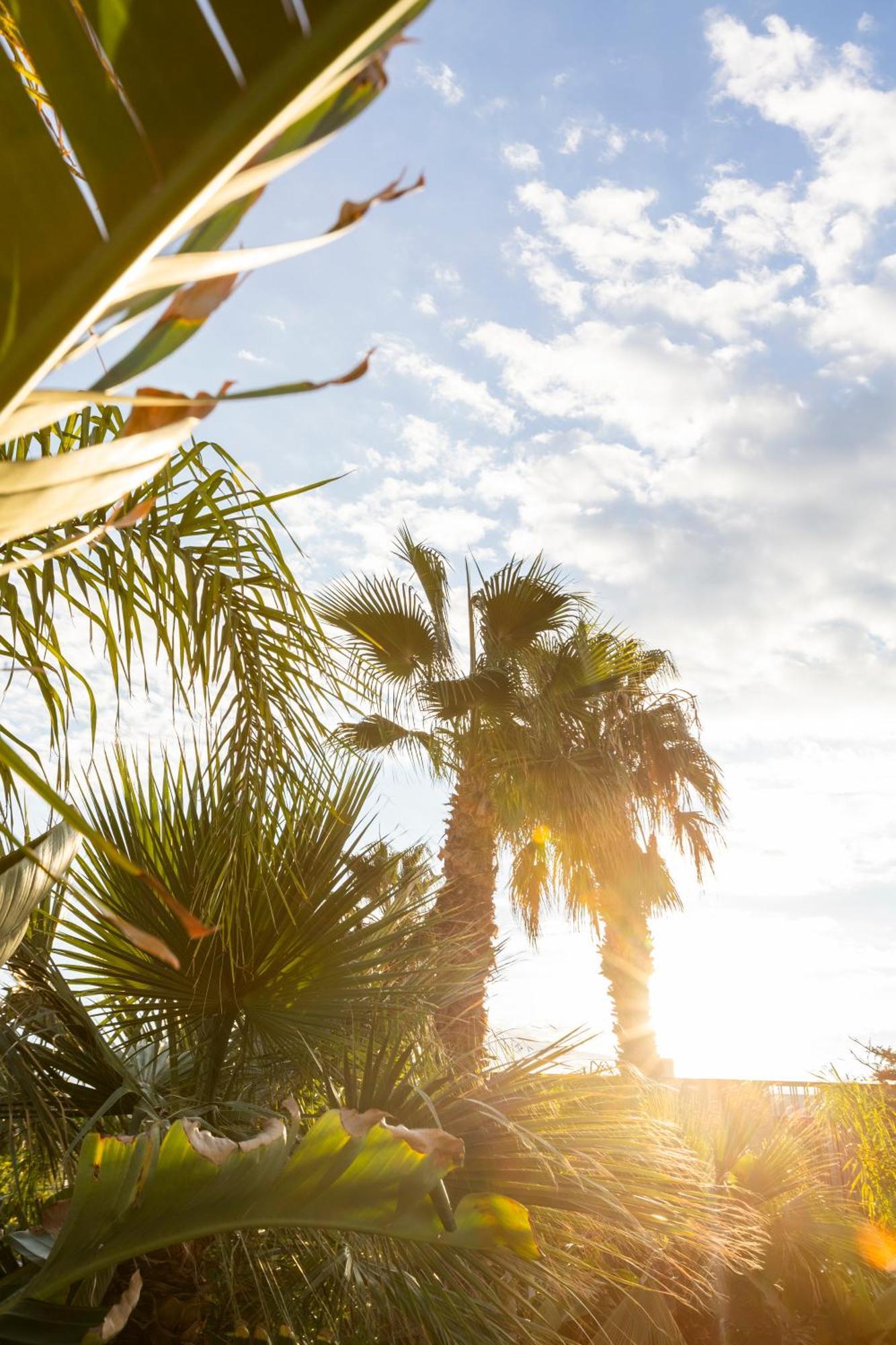 Albades Hotel & Spa (Adults Only) Benicassim Bagian luar foto